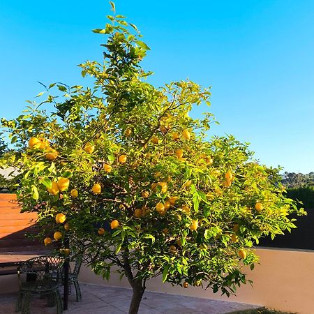 Adosado Con Jardin En Los Xalets De Salou Eksteriør bilde