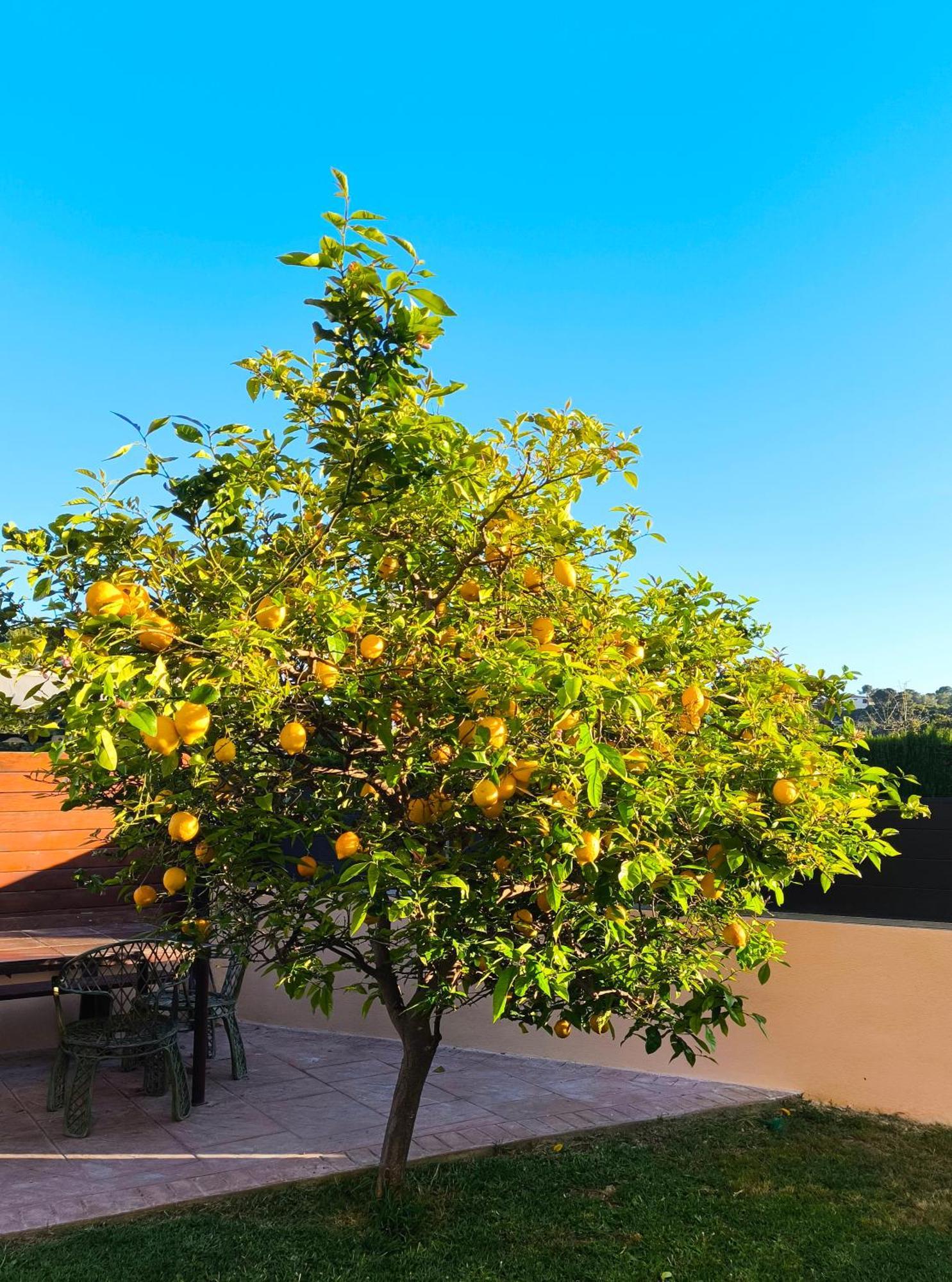 Adosado Con Jardin En Los Xalets De Salou Eksteriør bilde
